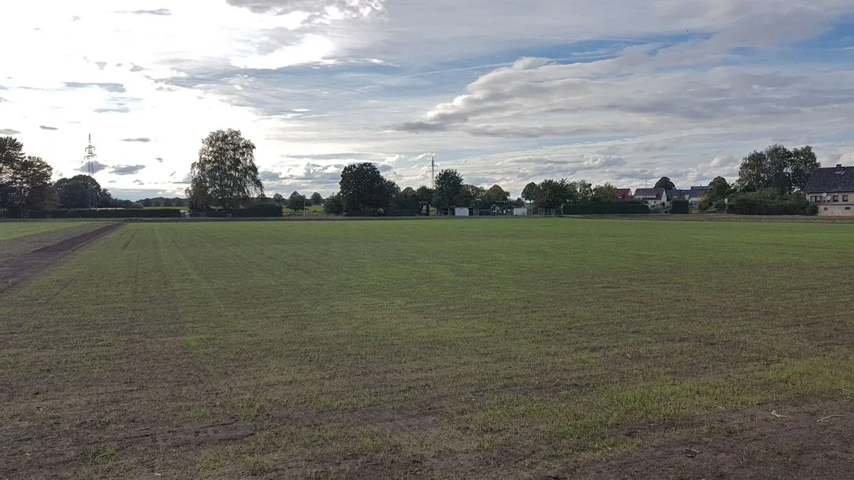 B-Platz Klein Förste - der Rasen wächst