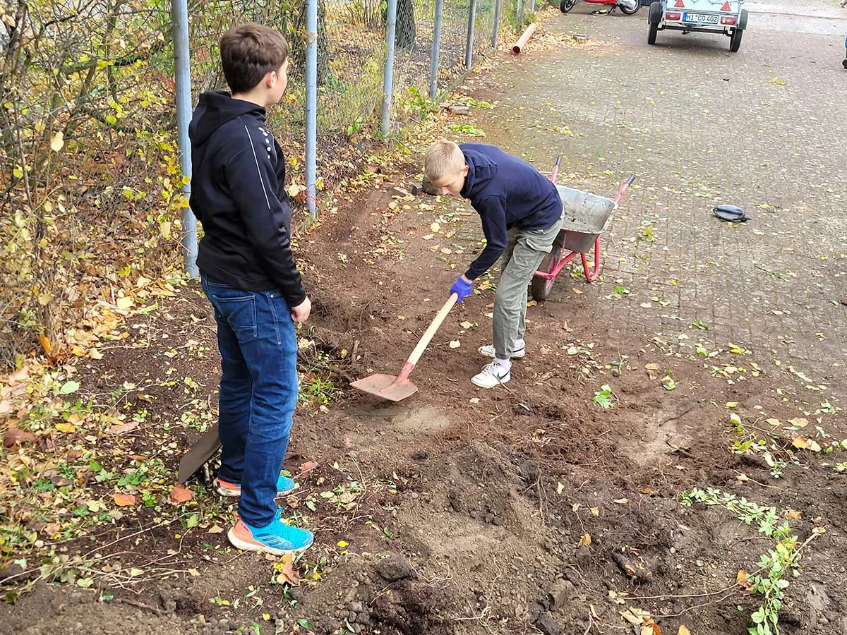 SSV Förste gemeinschaftsarbeit b Junioren